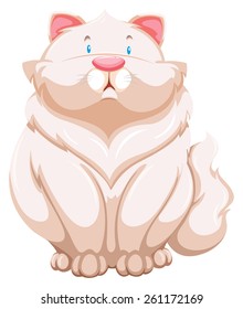 Fat cat in a sitting position on a white background