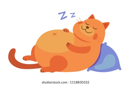 fat cat sleep on her back embracing his round belly. flat cartoon vector illustration
