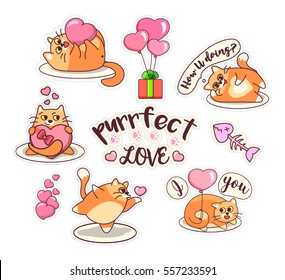 Fat cat sticker set for Saint Valentine's Day Vector illustration with cute cat in love. Hearts, gifts, balloons on white background. Cartoon style stickers, badges, pins, patches collection. Clip art