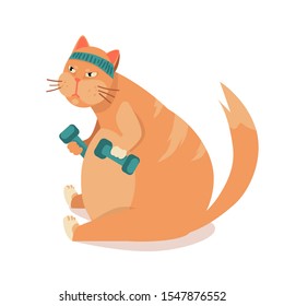 FAT cat TRAINS in sport. heavy cat in gym lifts dumbbells. Exercising in fitness, losing weight. illustration before , after vector