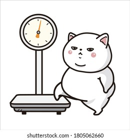 El gato gordo pesando a una escala.