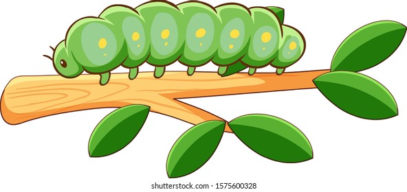 Fat caterpillar on white background illustration