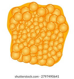 Fat Cell Vector Illustration. Structure of the Adipocyte Cells. Illustration of adipose