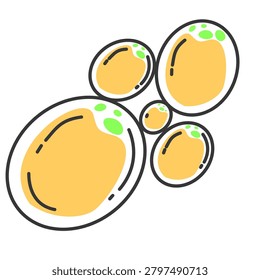 Fat Cell Vector Illustration. Structure of the Adipocyte Cells. Illustration of adipose