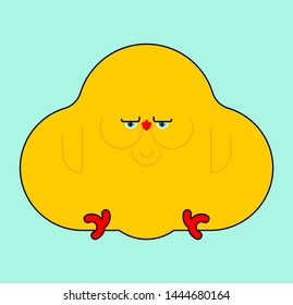 Fat chicken. Small chicken chick with obesity