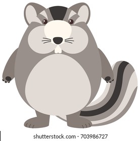 Fat chipmunk on white background illustration