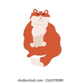 Fat chubby cat sitting, asking for smth. Cute obese fuzzy feline animal. Funny furry chunky fatty kitty with obesity. Flat vector illustration isolated on white background