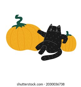 Fat cute black Halloween cat is sitting on pumpkins. Hand drawn doodle cat on orange vegetables. Happy smiling flat cartoon kitten on a white background.
