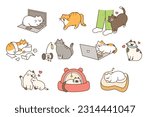 Fat cute cat lifestyle. They play pranks, have accidents, and play comfortably and happily.