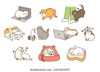 Fat cute cat lifestyle. They play pranks, have accidents, and play comfortably and happily.