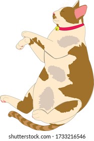 Un gato gordo y lindo está durmiendo de manera cómoda en un vector de fondo blanco