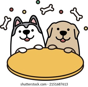 Fat And Cute Siberian Husky Golden Retriever Together Happy