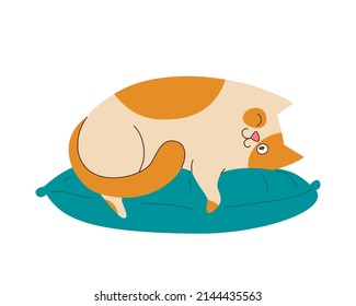 Un gato gordo y manchado está en la almohada. Ilustración plana vectorial, aislada, caricatura, clipart.