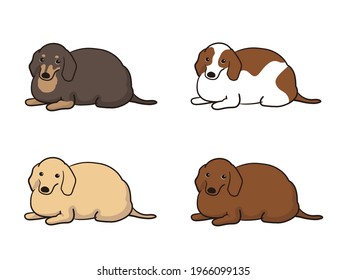 
Fat dachshunds vector illustration set.
