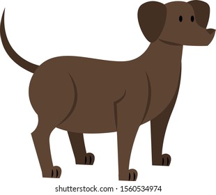 Perro gordo, ilustración, vector sobre fondo blanco.