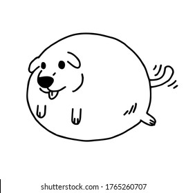 Fat dog like a balloon.