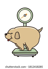 The fat dog on the weight scale.