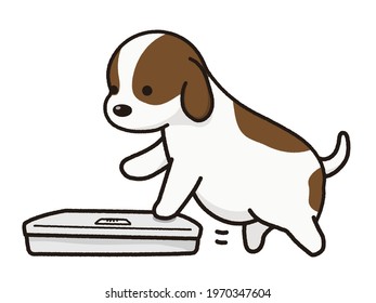 A fat dog weighing itself.　