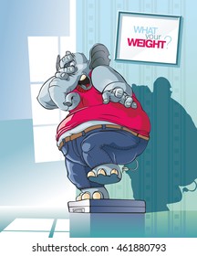 Fat elephant