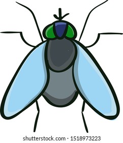 Fat fly, ilustración, vector sobre fondo blanco.