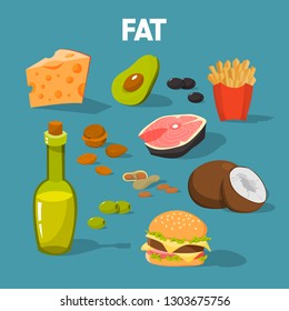 Fat food. Cheese and junk food, avocado and fish. Good and bad fats. Hamburger snack. Isolated vector illustration in cartoon style