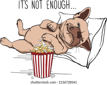 A fat french bulldog who likes to eat popcorn