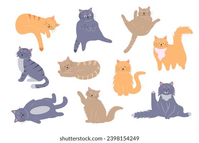 Fat funny cats set. Cartoon cat characters in different poses. Cute pet collection.