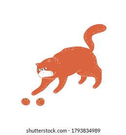 A fat ginger cat plays with tangerines. A bright, fun print with a cute funny cat is a great print for a T-shirt, hoodie and so on.