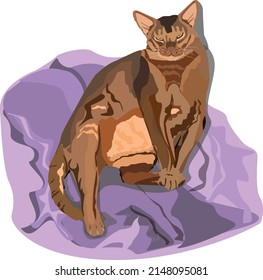 A fat ginger cat is sitting on a lilac blanket. An Abyssinian cat. Flat realism.