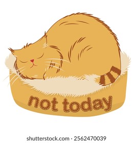 Fat ginger cat sleeps on a couch with the slogan "not today", vector illustration on a white background