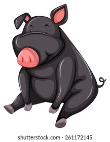 Fett-graues Schwein auf weißem Hintergrund