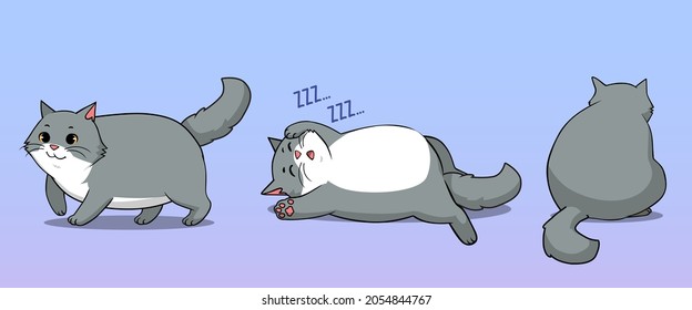 Fat Grey Cat Bundle Isolated, Walking, Sleeping and Pose From Behind