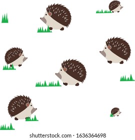 Fat Hedgehog with grass blades