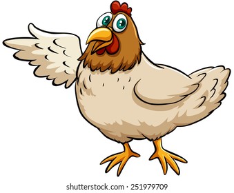 A fat hen on a white background