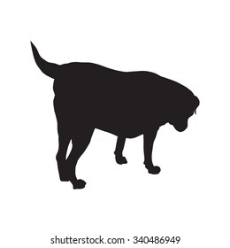 Fat labrador Retriever Sniffer dogs were standing silhouette, 7 years old. Vector illustration save in 10 eps.