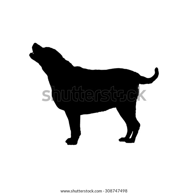 Download Fat Labrador Retriever Stand Silhouette 7 Stock Vector ...