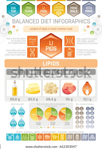 脂肪脂質ダイエットインフォグラフィック図ポスター 水タンパク質脂質炭水化物ミネラルビタミンフラットアイコンセット 表 のベクターイラスト ヒトの健康管理 医療表 白い背景に食べ物 のベクター画像素材 ロイヤリティフリー