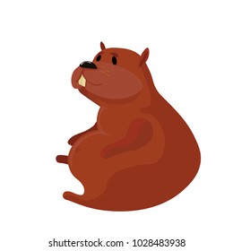 Fat marmot sits. Isolated on white background.