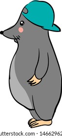 Fat mole with hat, illustration, vector on white background.