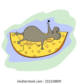 Fat mouse with a piece of cheese. Vector illustration.