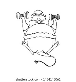 Fat mouse in spring making exercises with dumbbells. Animal symbol of Chinese New Year 2020. Monochrome sketch, hand drawing. Black outline on white background. Vector illustration
