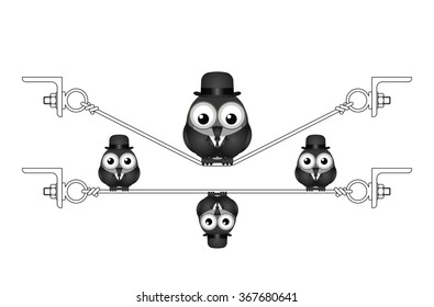 Fat overweight bird on a flexed steel wire isolated on white background