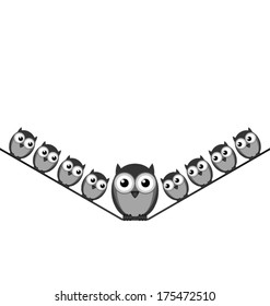Fat owl perched on a wire with copy space isolated on white background