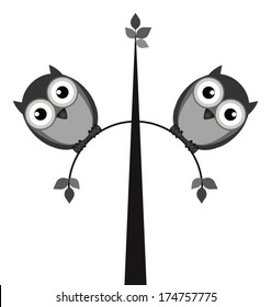Fat owls perched on a tree isolated on white background