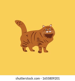 Fat Persian cat. Pets concept, vector illustration. Red big cat.