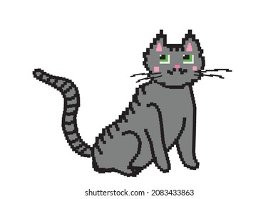 Fat pixel cat NFT blockchain, non fungible token. Pixel art character