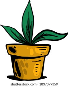 Fat plant in pot, illustration, vector on white background