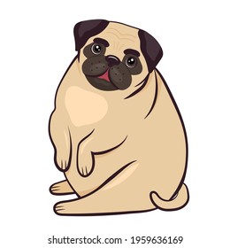 Fat pug dog character. Vector illustration of cute pug isolated on white background.