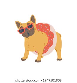 Fat pug dog in sunglasses and with lifebuoy, flat vector illustration isolated.