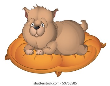 Fat puppy